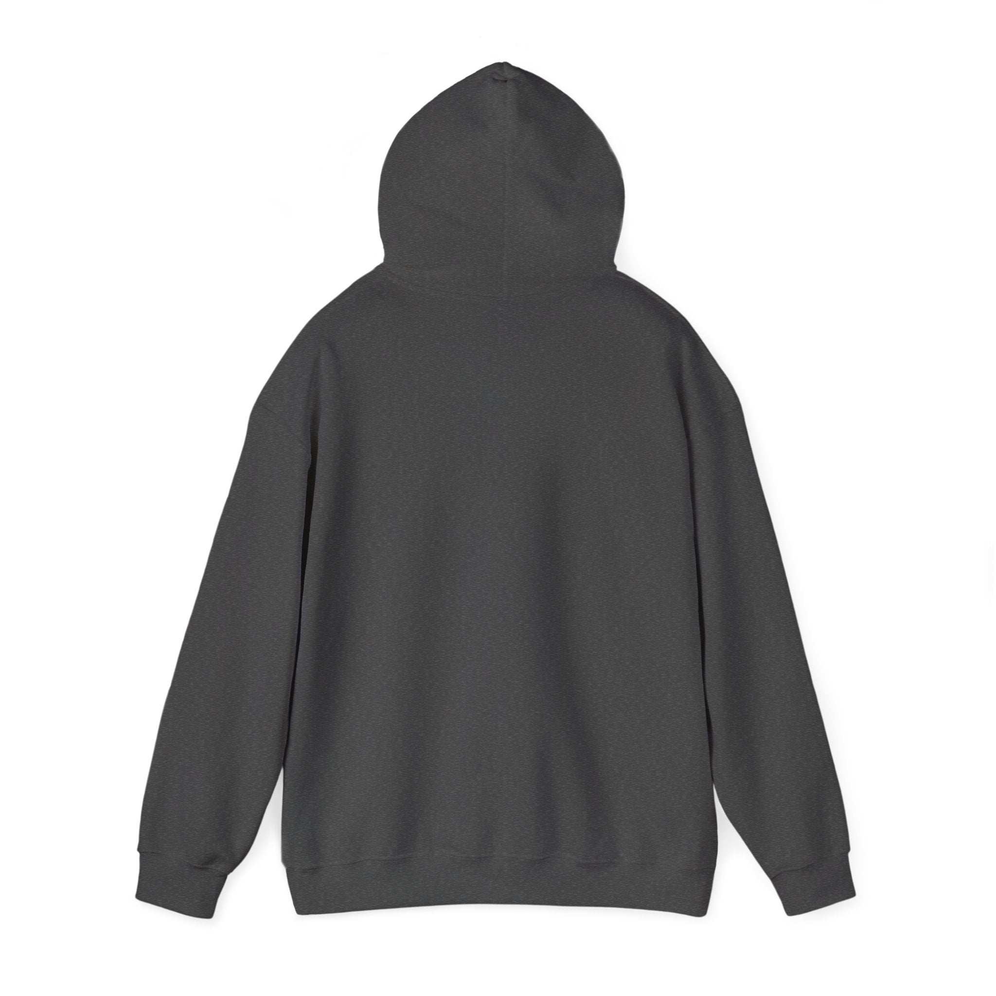 Wild West Pursuit Hoodie