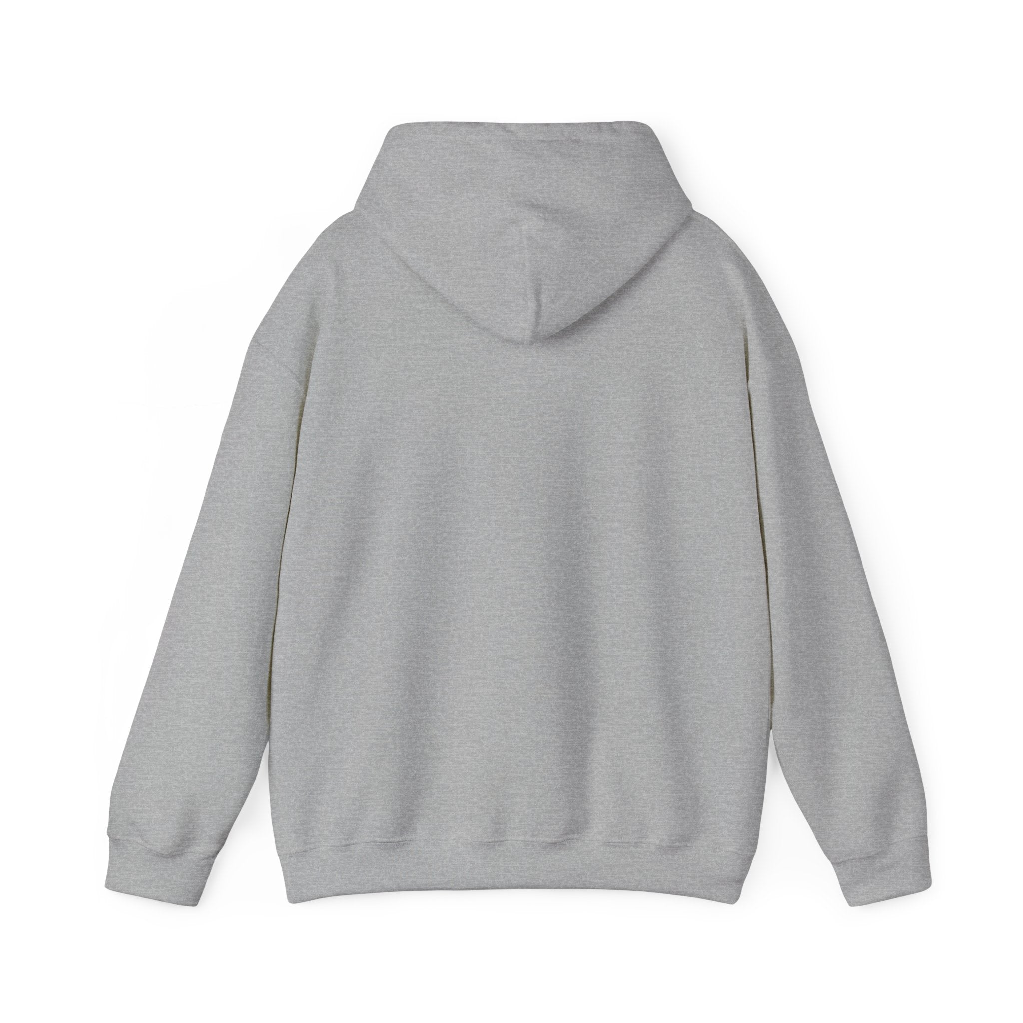 Wild West Pursuit Hoodie