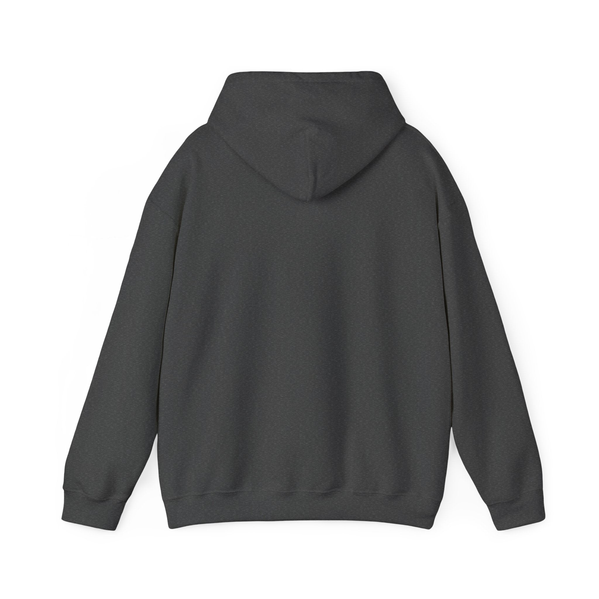 Wild West Pursuit Hoodie