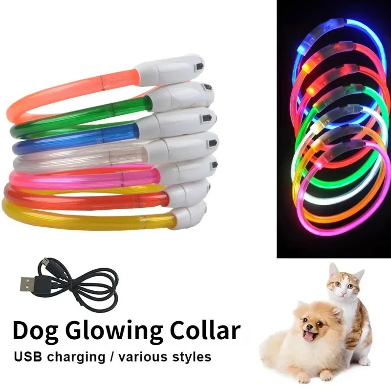 Rechargeable Fiber Optic Dog Collar Luminous Night Glow Pet Accessory Detachable Safety Collar for Enhanced Nighttime Visibi