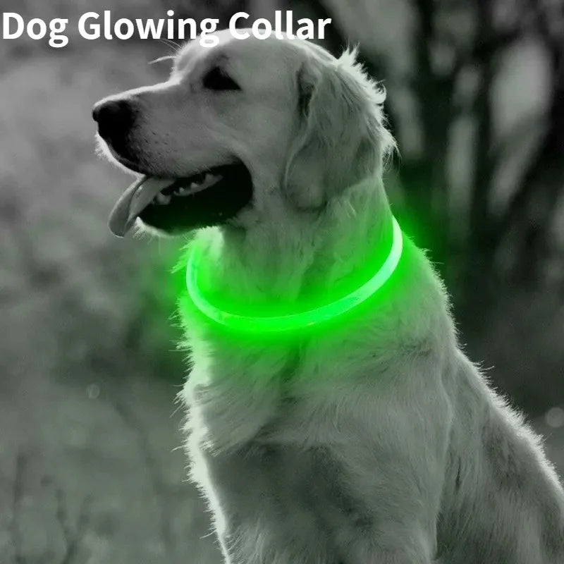 Rechargeable Fiber Optic Dog Collar Luminous Night Glow Pet Accessory Detachable Safety Collar for Enhanced Nighttime Visibi