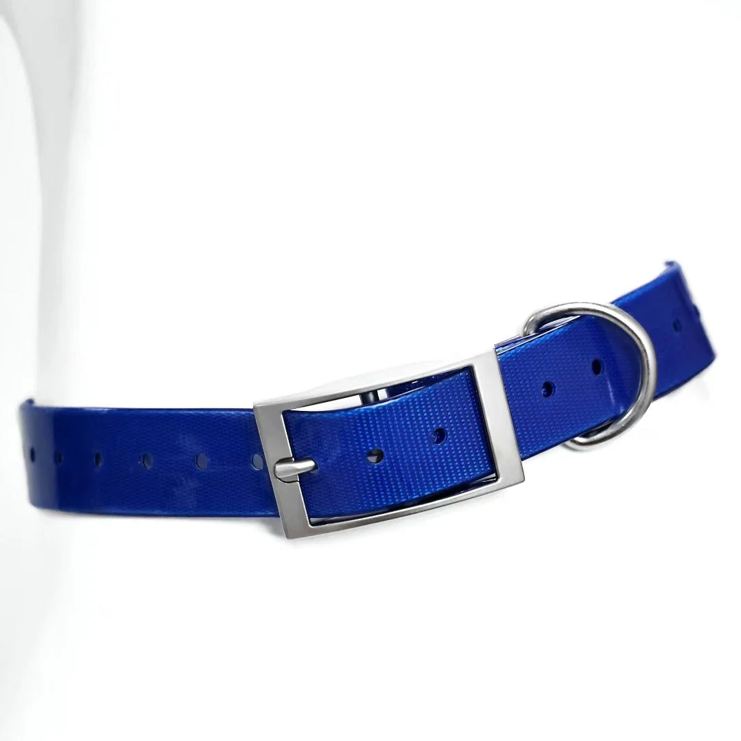 2.5cm Wide Heavy Duty TPU Dog Collar Waterproof Hunting Adjustable Pet Collar 8 Colors For Large Medium Dogs Outdoor Training