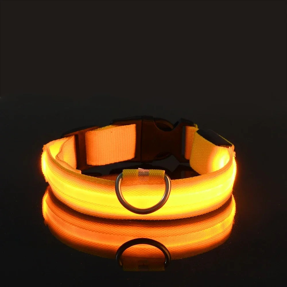 Dog Collar Nylon LED Night Safety Flashing Glow In The Dark Pet Dog Leash Pet Dogs Luminous Fluorescent Dog Accessories Collar