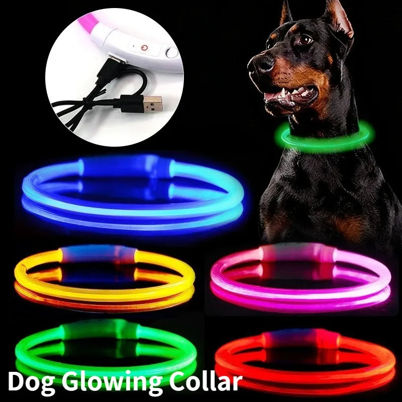 Rechargeable Fiber Optic Dog Collar Luminous Night Glow Pet Accessory Detachable Safety Collar for Enhanced Nighttime Visibi